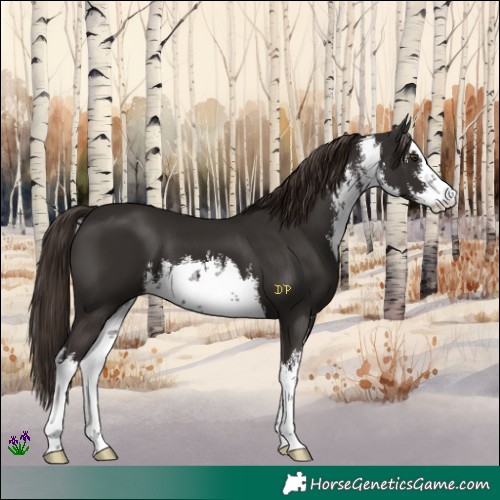 Horse Color:White Spotted Liver Chestnut 