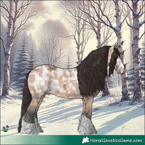 Horse Color:Bay Ice Dun 