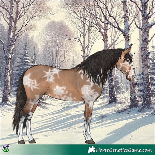 Horse Color:Bay Ice Dun 