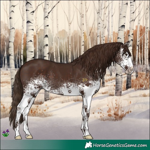 Horse Color:White Spotted Liver Chestnut 