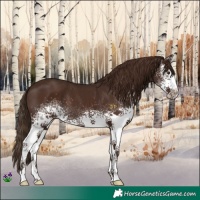 Horse Color:White Spotted Liver Chestnut 