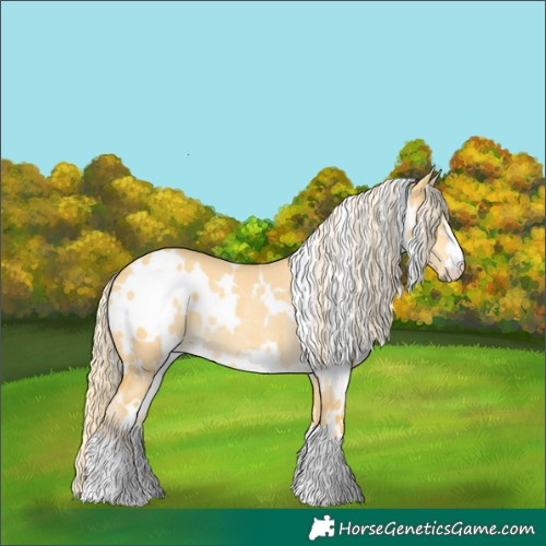 Horse Color:White Spotted Palomino Dun Rabicano 