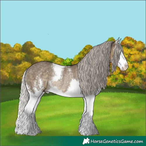 Horse Color:Silver Smoky Grullo Sabino Splash Rabicano 