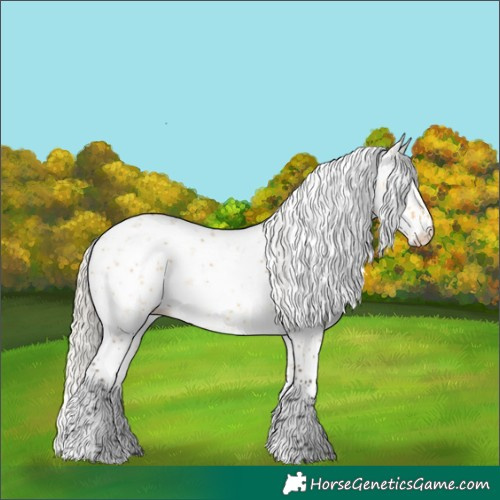 Horse Color:Silver Buckskin Dun Sabino Rabicano 