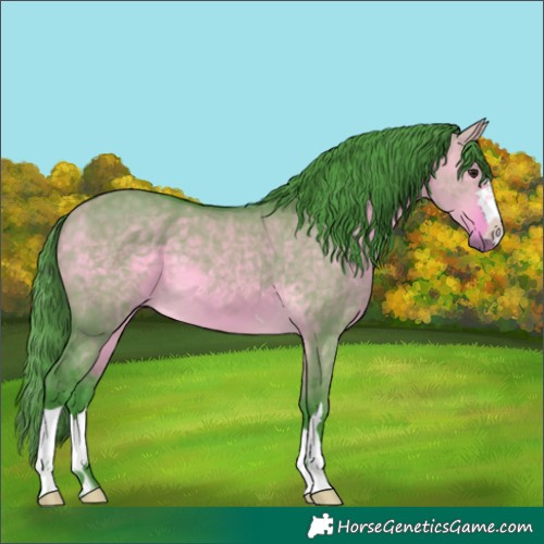 Horse Color:Watercolor Buckskin Dun 
