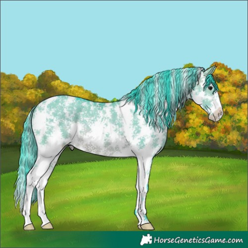 Horse Color:Watercolor Brown Dun Sabino Rabicano 