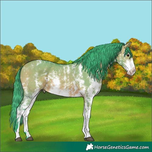 Horse Color:Watercolor Bay Dun Sabino Rabicano 