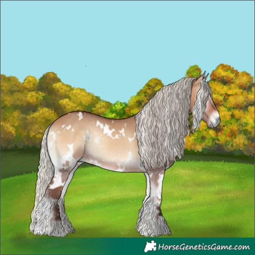 Horse Color:White Spotted Silver Brown Onyx Rabicano 