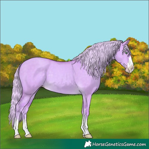 Horse Color:Watercolor Gold Cream Champagne Dun 