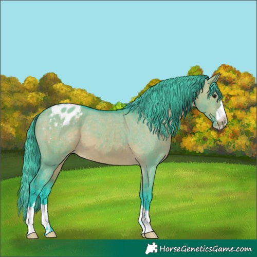 Horse Color:Watercolor Brown Dun Appaloosa 