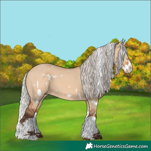 Horse Color:White Spotted Silver Bay Dun Splash 