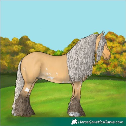 Horse Color:White Spotted Silver Buckskin Dun 