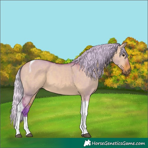 Horse Color:Watercolor Silver Bay Dun Tobiano 