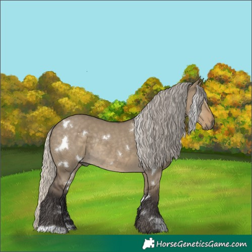Horse Color:White Spotted Silver Smoky Grullo Rabicano 