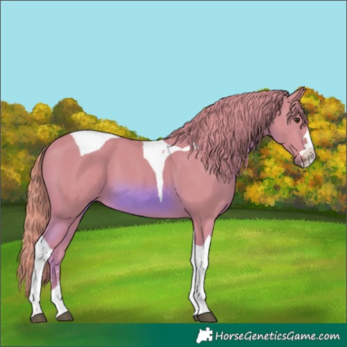 Horse Color:Watercolor Chestnut Tobiano 
