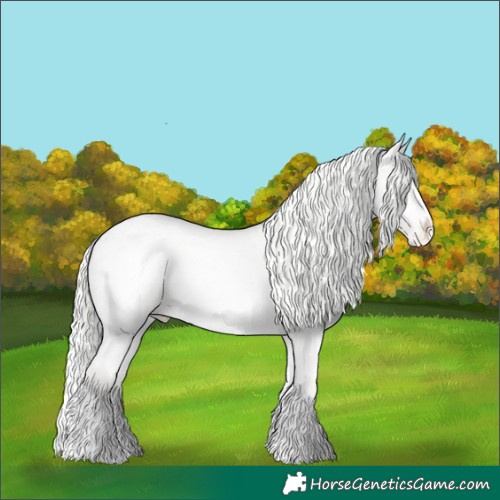 Horse Color:White Spotted Silver Perlino Onyx Appaloosa 