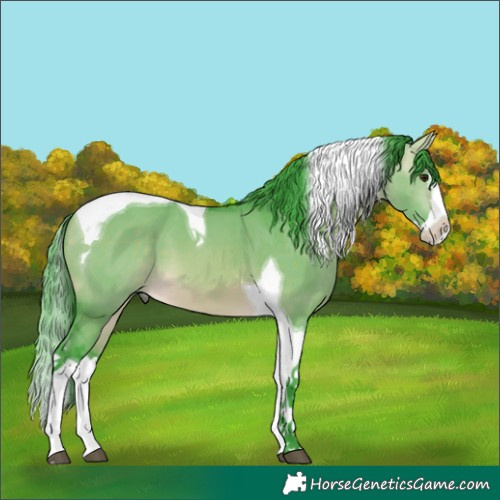 Horse Color:Watercolor Buckskin Dun Splash Tobiano 