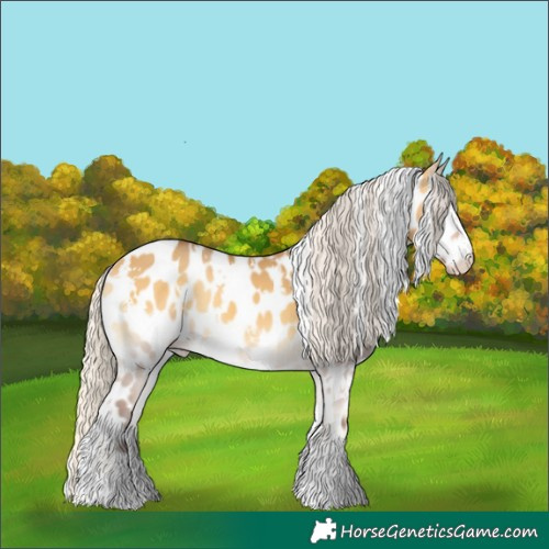 Horse Color:White Spotted Silver Buckskin Onyx Near Leopard 