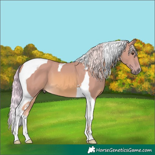 Horse Color:Watercolor Palomino Tobiano 