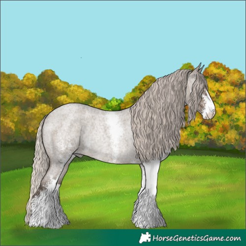 Horse Color:Silver Grullo Roan Sabino Rabicano 