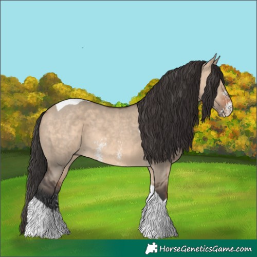 Horse Color:Brown Dun Sabino Tobiano Rabicano 
