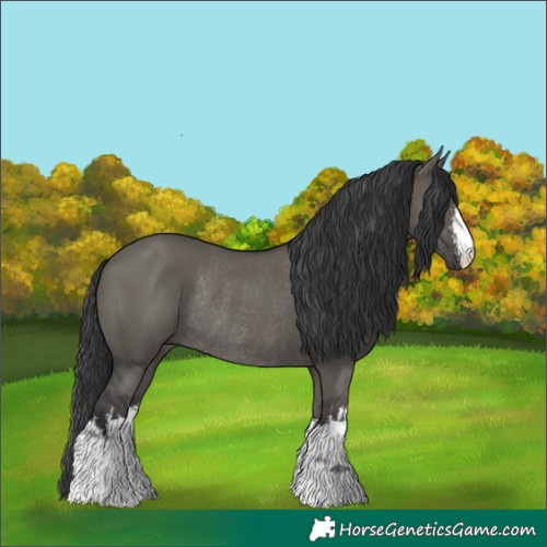 Horse Color:White Spotted Grullo Rabicano 
