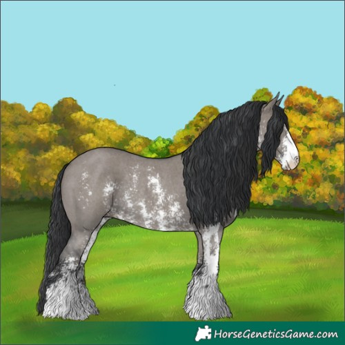 Horse Color:Grullo Sabino Rabicano 