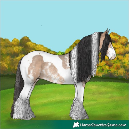 Horse Color:Bay Dun Sabino Tobiano Rabicano 