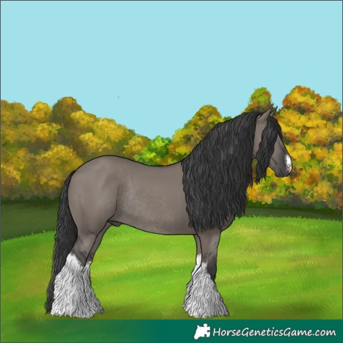 Horse Color:White Spotted Grullo Rabicano 