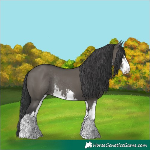 Horse Color:White Spotted Grullo Rabicano 