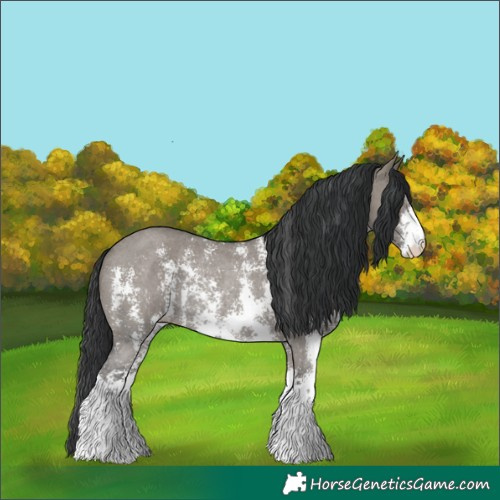 Horse Color:Grullo Sabino Rabicano 
