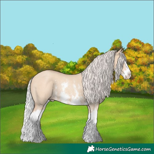 Horse Color:Silver Classic Champagne Dun Sabino Splash Rabicano 