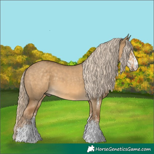 Horse Color:White Spotted Chocolate Palomino Dun 