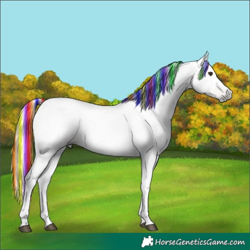 Horse Color:Gray Painted Chestnut 