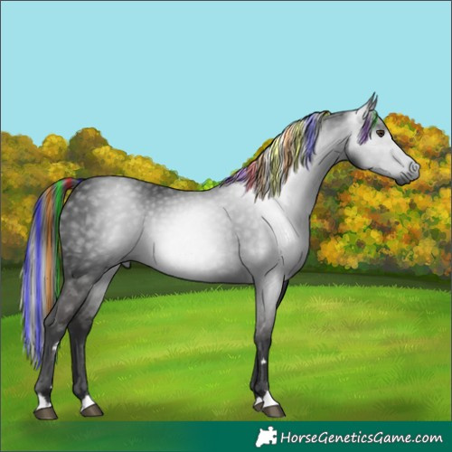 Horse Color:Gray Painted Liver Chestnut 