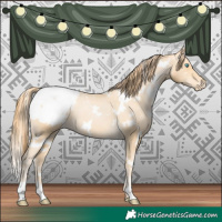 Horse Color:White Spotted Buckskin Pearl Appaloosa 