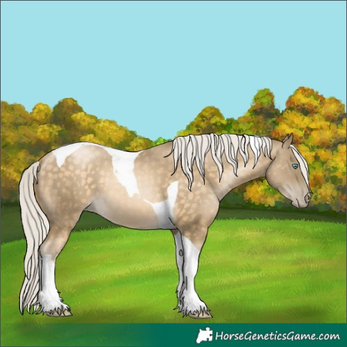 Horse Color:Silver Buckskin Pearl Tobiano 