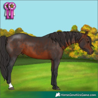 Horse Color:Brown 