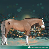 Horse Color:Sable Champagne Splash 