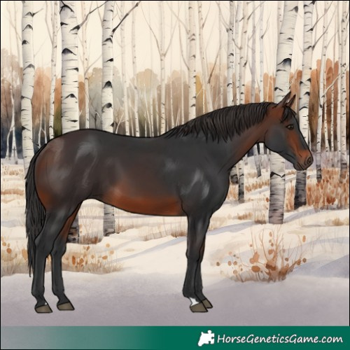 Horse Color:Brown 