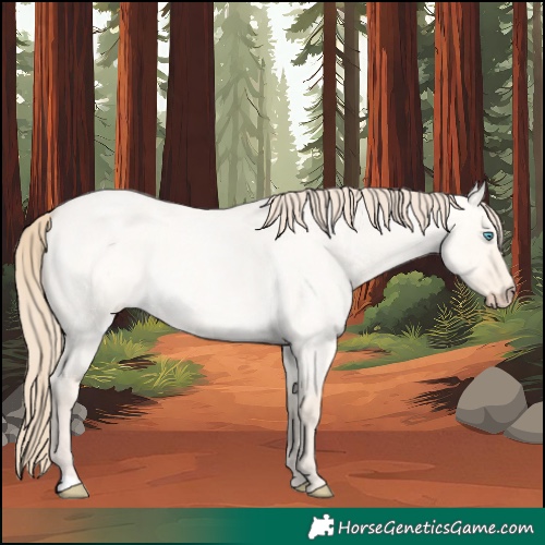 Horse Color:Perlino Roan Dun 