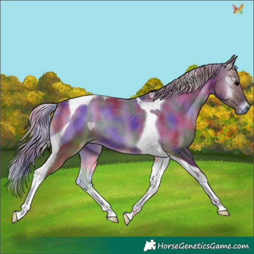 Horse Color:Nacre Silver Blue Onyx Tobiano 