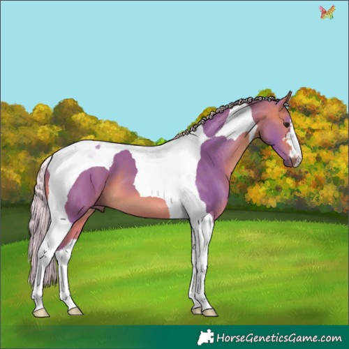 Horse Color:Watercolor Silver Brown Tobiano 