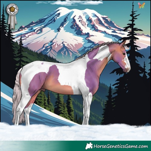 Horse Color:Watercolor Silver Brown Tobiano 