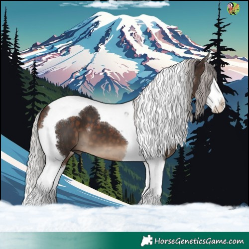 Horse Color:Silver Brown Splash Tobiano 