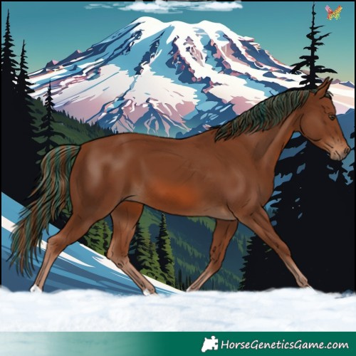 Horse Color:Painted Chestnut 