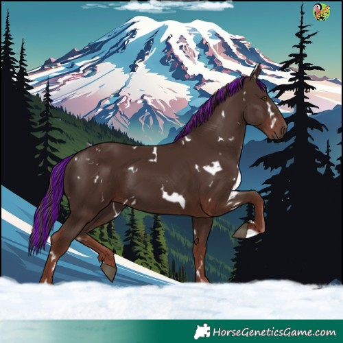 Horse Color:Painted White Spotted Liver Chestnut 