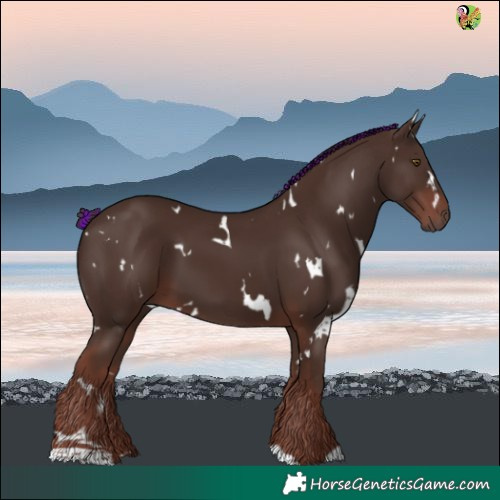 Horse Color:Painted White Spotted Liver Chestnut 