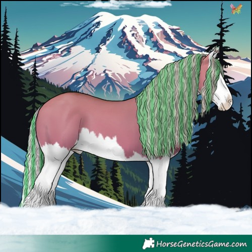 Horse Color:Painted White Spotted Silver Bay Dun Splash 