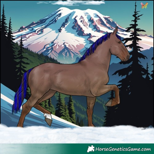 Horse Color:Painted Liver Red Dun 